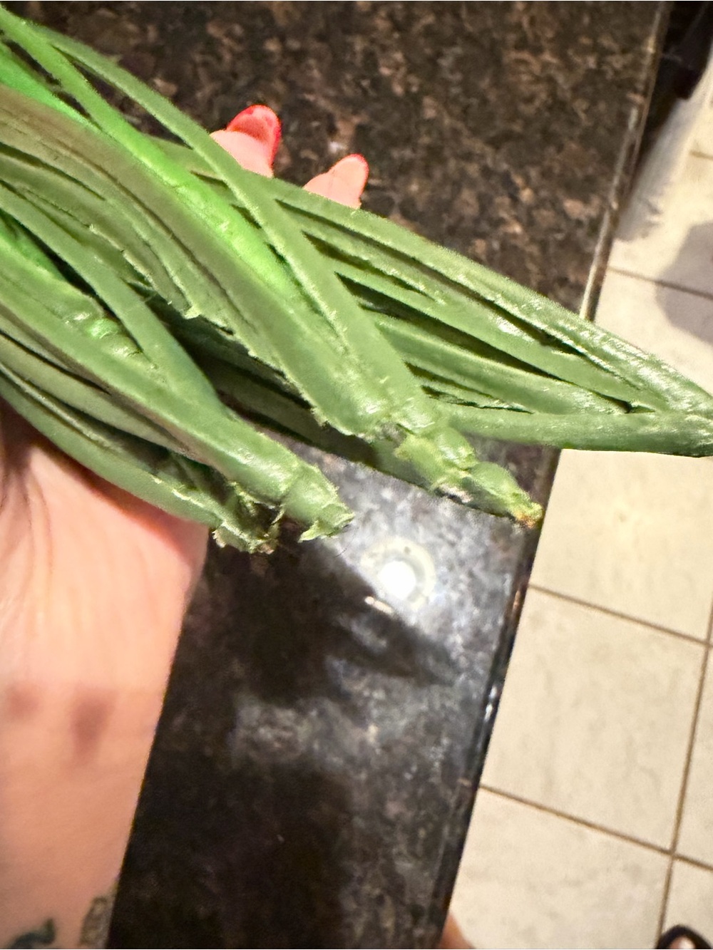 Fake grass - Picture 3 of 4